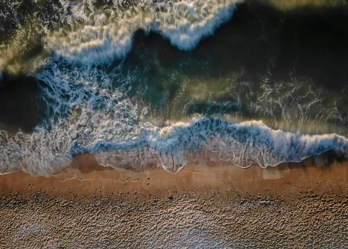 Les Cigognes - Deux Pieces - Centre Deauville